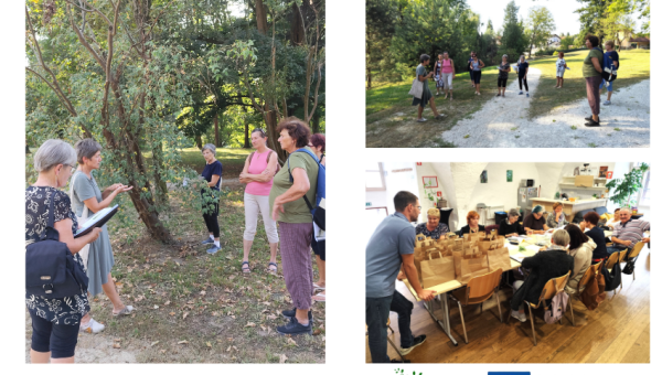 Cultivating Herbal Wisdom: A Home Pharmacy Pilot in Ormož